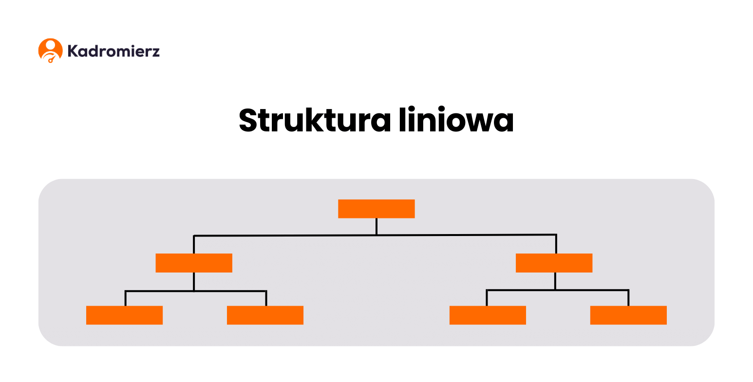 Struktura liniowa w organizacji