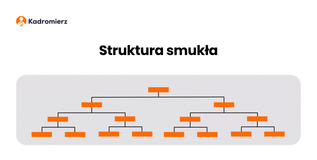 Struktura Organizacyjna Firmy – Jak Powinna Wyglądać? | Kadromierz